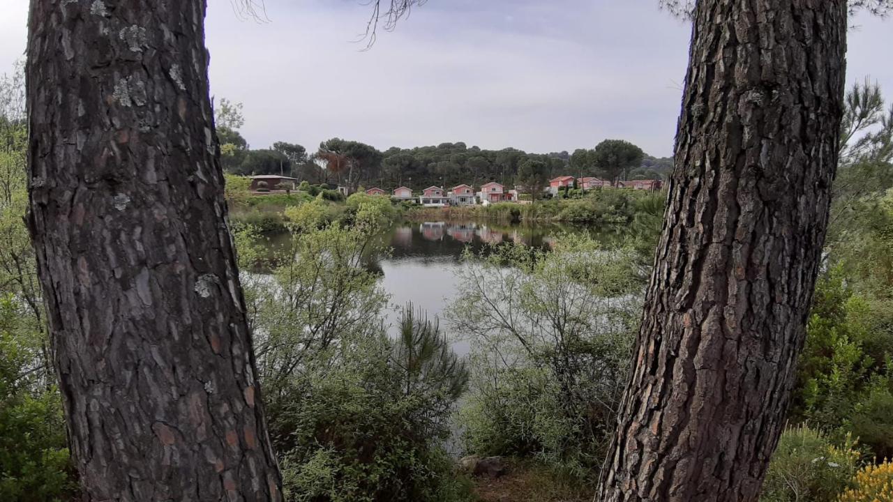 El Pinar Del Coto Βίλα Κόρδοβα Εξωτερικό φωτογραφία